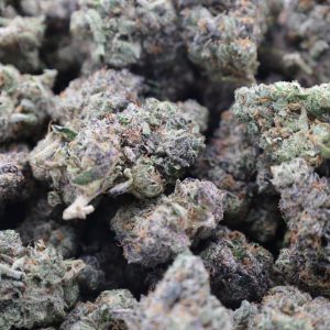 Animal Cookies Strain (AAA+) - Image 2