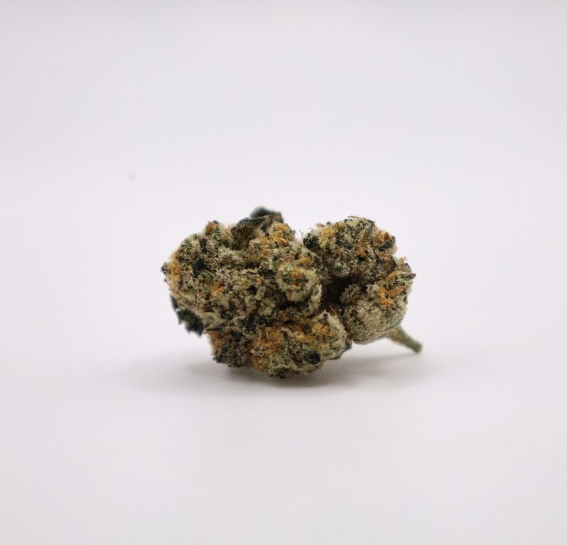 Gypsy Strain           (AAA)