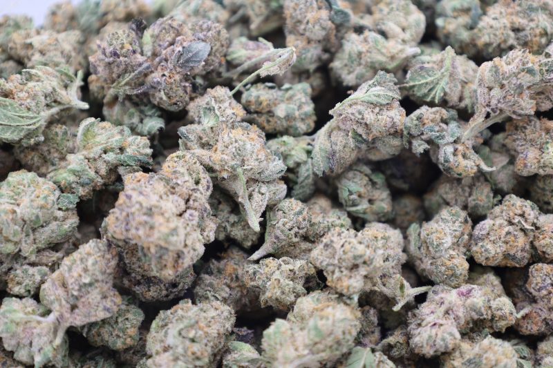 Gypsy Strain           (AAA) - Image 2