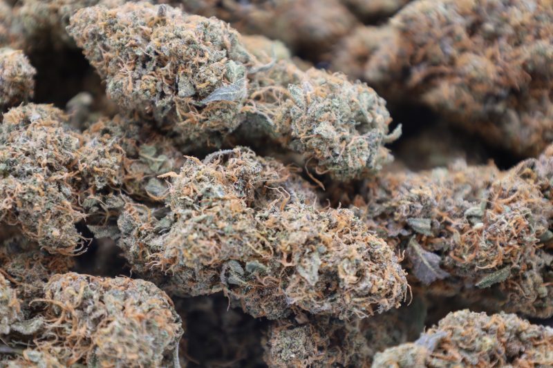 Mike Larry x La KC Strain (AAA) - Image 2