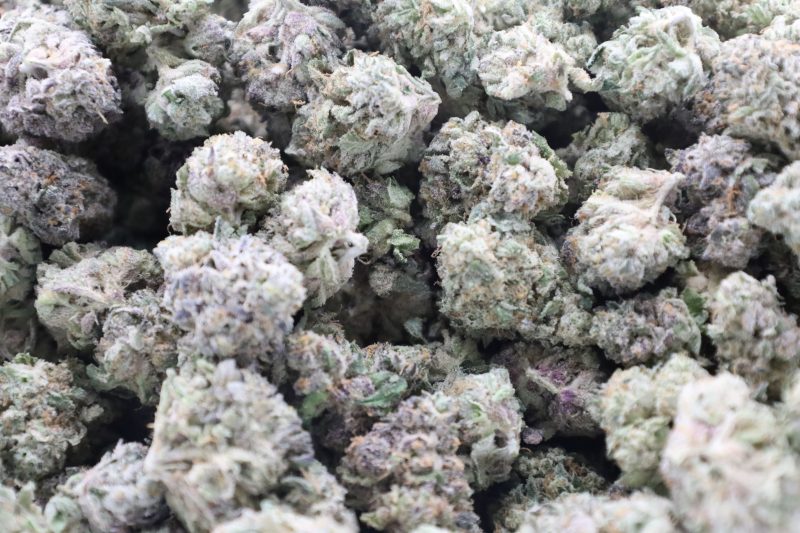 Crunch Berry Strain     (AA) - Image 2